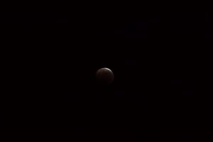 皆既月食　天王星食　221109　1